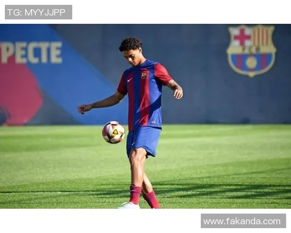 足球天才Meriva的崛起之路 从青训到世界舞台的辉煌征程